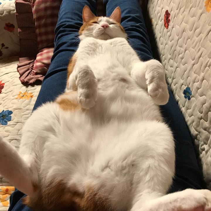 789fb492 b95d 45ab 8bc8 218310cd15c8 1541808613430