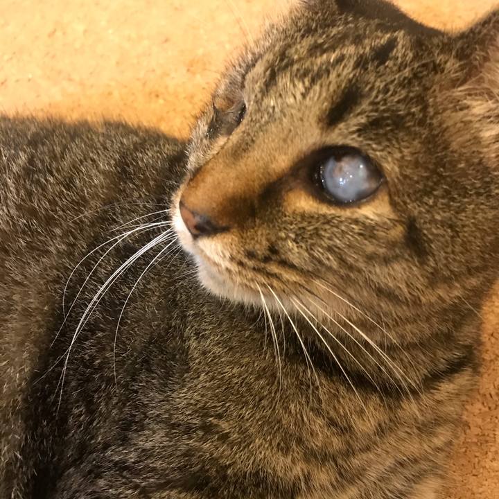 789fc249 c5b1 4c2a a70e 2dc5965f83fe 1571887694697