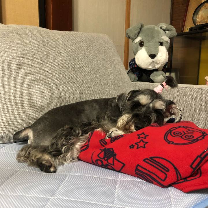 78a07386 5f04 46fd 85a0 8190f9e58856 1593942145236