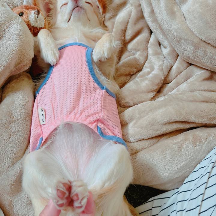 78a0a5f4 1760 4692 a687 1e72ec1c8b15 1650942837724