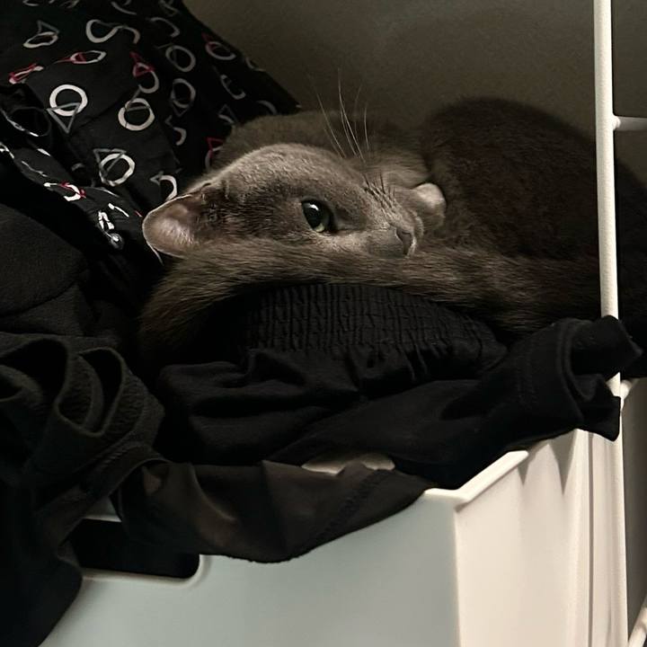 78a149b6 aded 4ee9 afee 2483a832557e 1730692015245