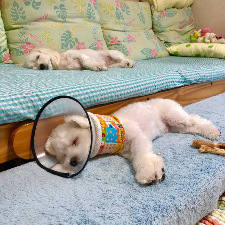 78a159c6 b83f 4ef9 b34e 15f679327660 1532774583375