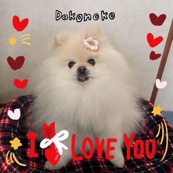 78a17ae3 265d 4db4 9f88 5787a7f95de1 1707061930435