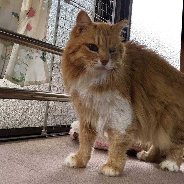 78a1962b a25d 48a0 8d94 61702cbbc922 1517225564758