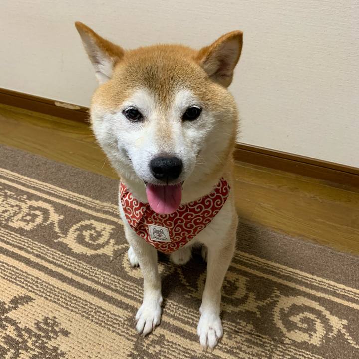 78a1f799 aa93 4d0e bfe5 141b6b890081 1659612669966