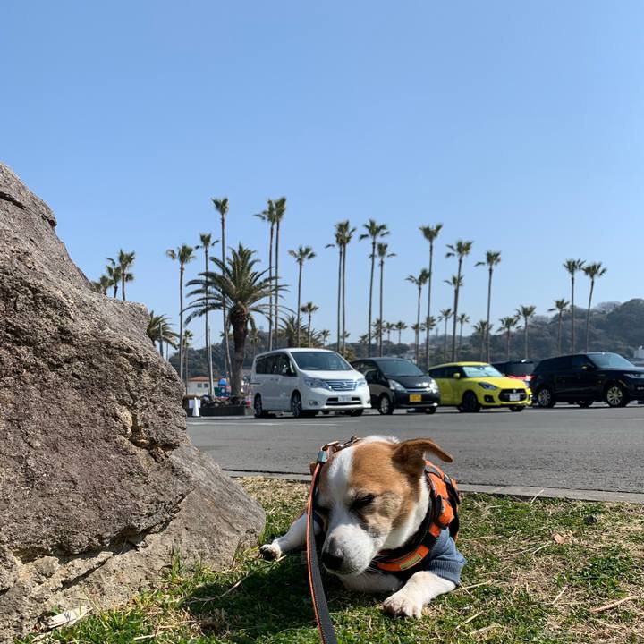 78a21eaf 8aa5 46e5 8599 9bb13b47f8f2 1647048303339