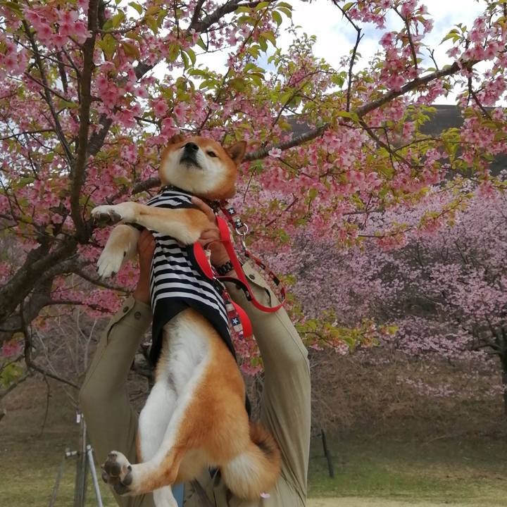 78a220b7 33c8 4662 8756 4a4691257e02 1647933559050