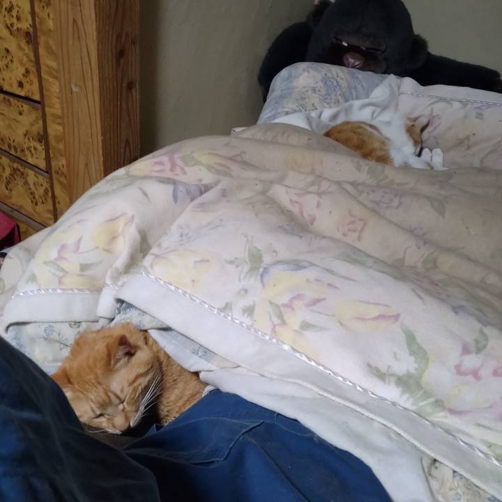 78a26994 bf21 43d4 ab30 52fdf7a6b7f4 1774512768963