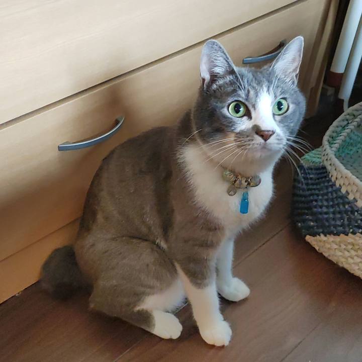 78a2c528 a995 42ae 83dd 00294504eb61 1689203375468