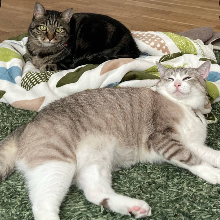 78a2fbc3 7757 4be4 bee9 2b692fc5c824 1600571779386