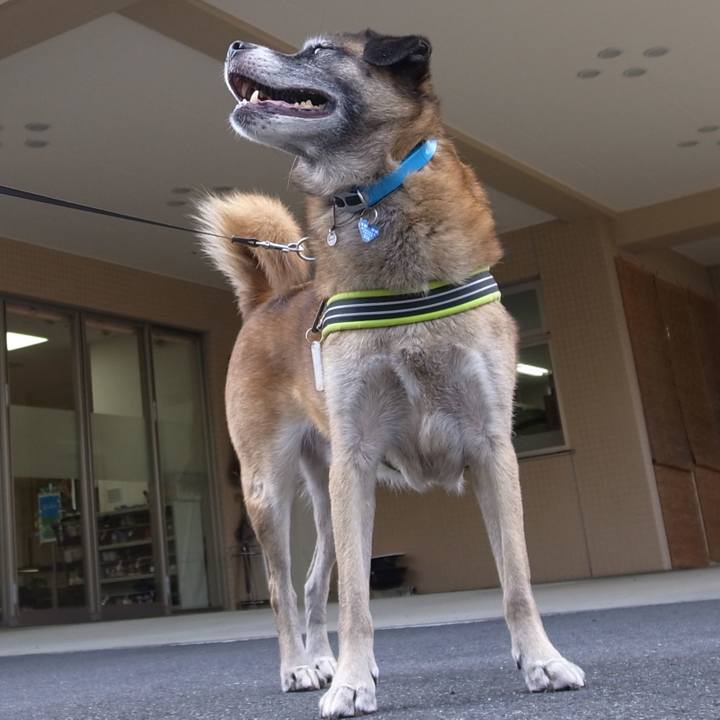 78a32056 d055 450f 9dab ae15ba09747d 1582777253916