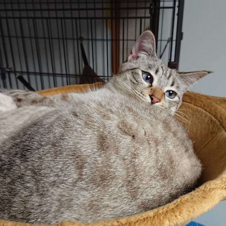 78a325c0 2056 4791 b455 5c9a96849f54 1514126189405