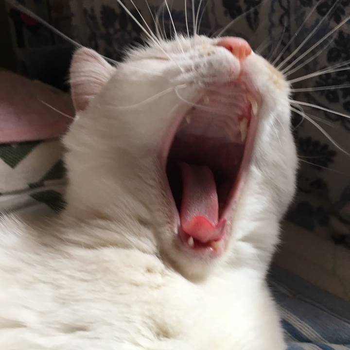 78a32e84 13cd 436e 8f7b db5aa8e051c7 1524974480245