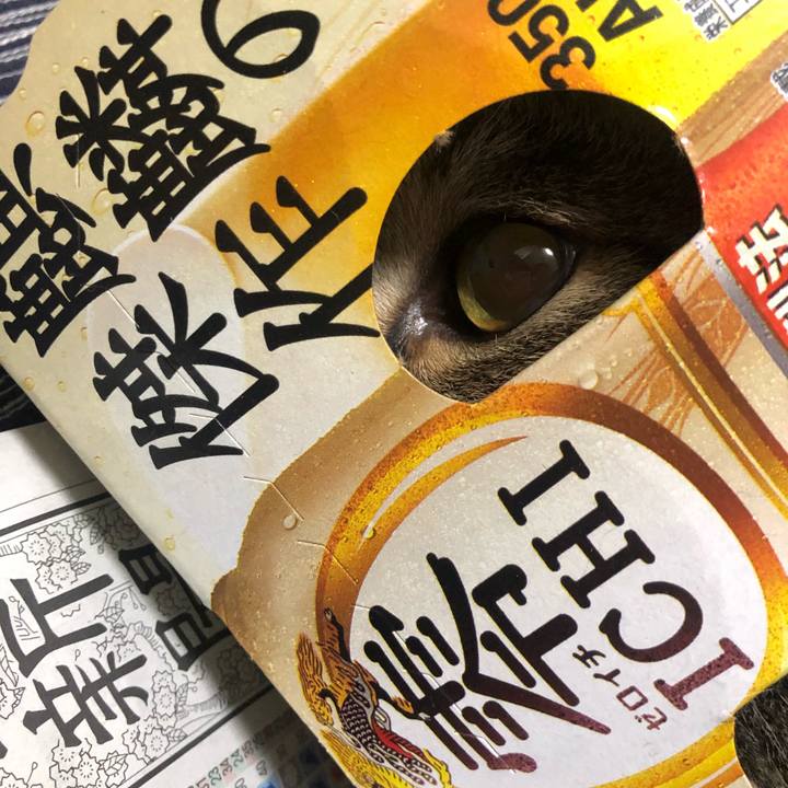 78a34cb7 1054 4674 bbd3 67801d2a28c0 1628281552174