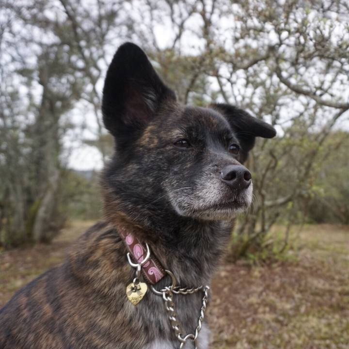 78a35826 b930 436e b396 f0958a1cb8db 1523848888678