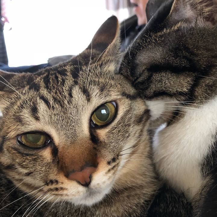 78a36ffe 7cec 4cd5 b87f d8e03dbdc4fc 1521214830066