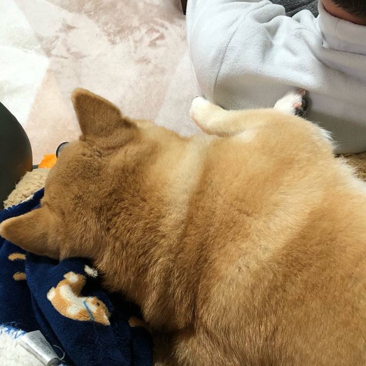 78a3cc6b 27a7 4d6e be50 c18afb1898cb 1583331127110