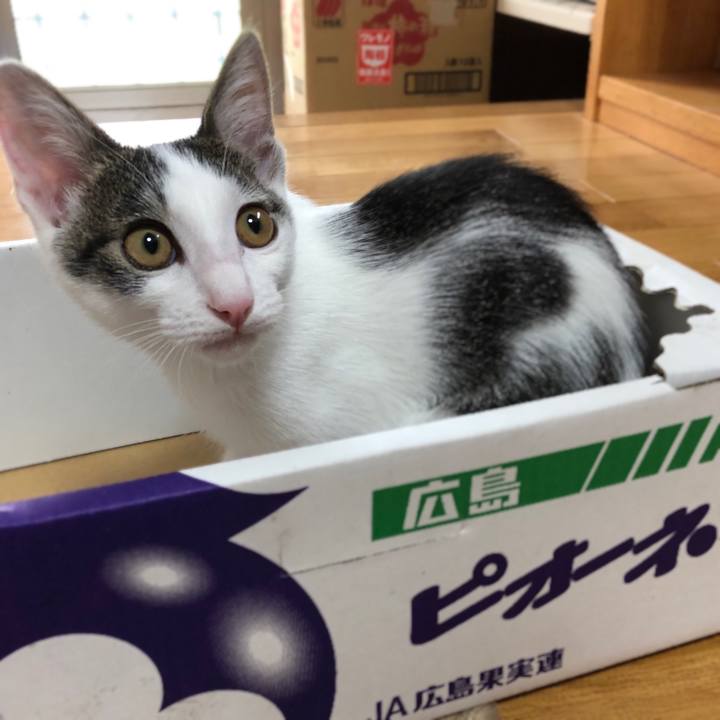 78a3e6eb 6f65 4657 bfcc 4371bf666512 1566262054029