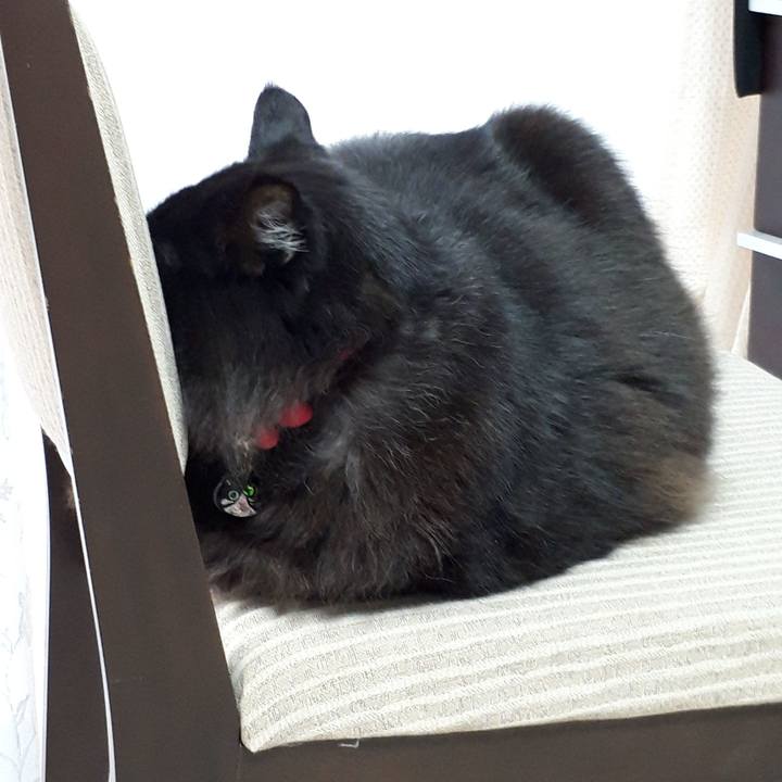 78a3ec6e 17a6 47c0 b898 0e4fc6ad8228 1518818935906