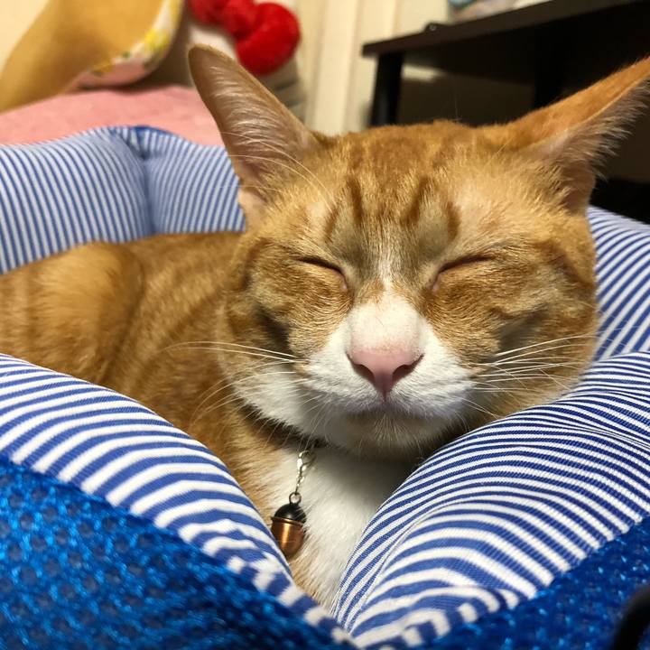 78a3f955 0146 4466 94a9 0b031acbf963 1562587180184