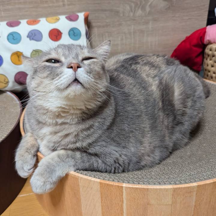 78a427eb d9da 4a8f a37a d12b3aceeea5 1730014145895