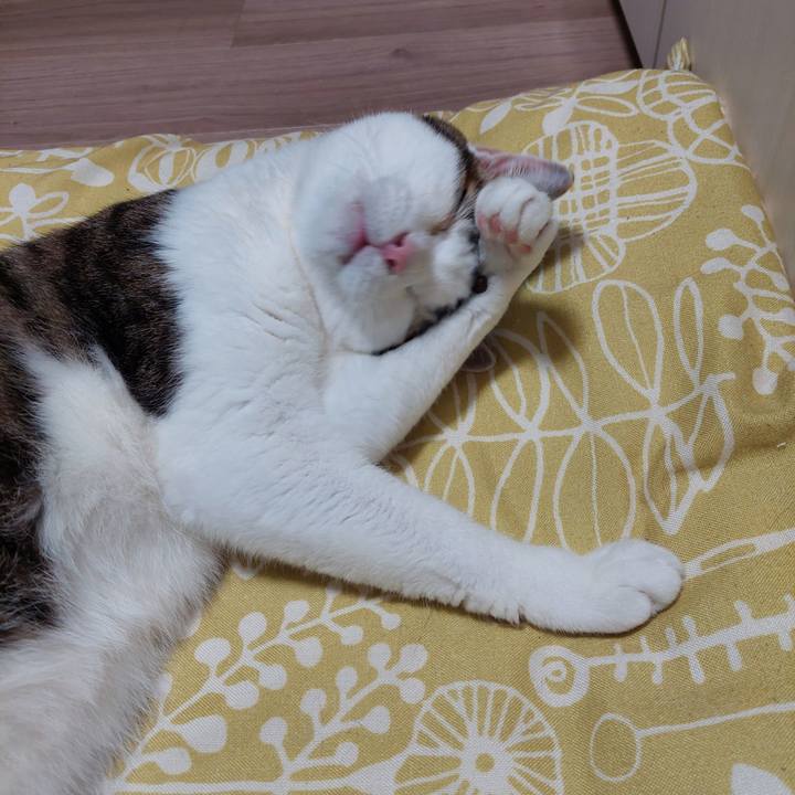 78a43365 1e85 401f 9c3d f3d8fd743bad 1752496007938