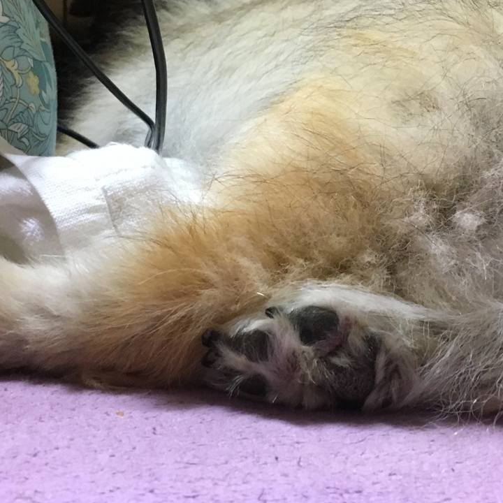 78a45801 a172 4630 a511 2563e0b878be 1615857216504