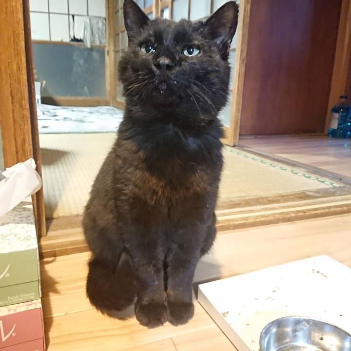 78a4b303 af70 47ed b21b d6ea04e86bb0 1620986456916