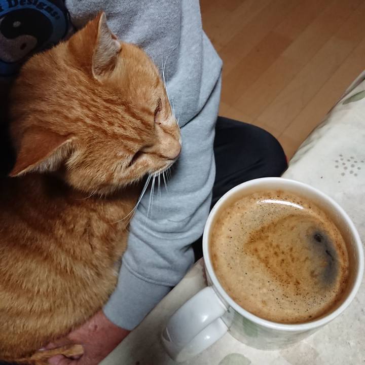 78a524bf 6663 48af baea 5e587c73cefd 1601409131314