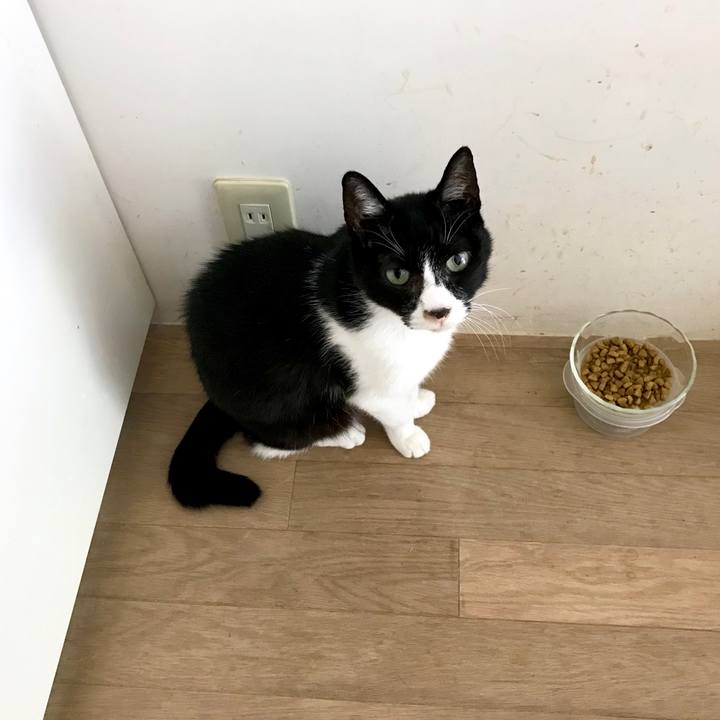 78a52d1d 9a48 4973 8f5d c7f550b06851 1526628224352