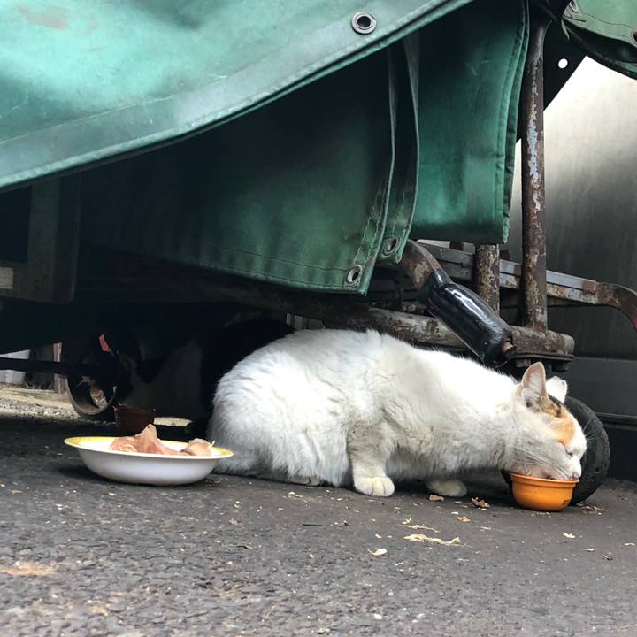 78a5375c 413f 41fc 830c 449363b3c8cb 1580740426081