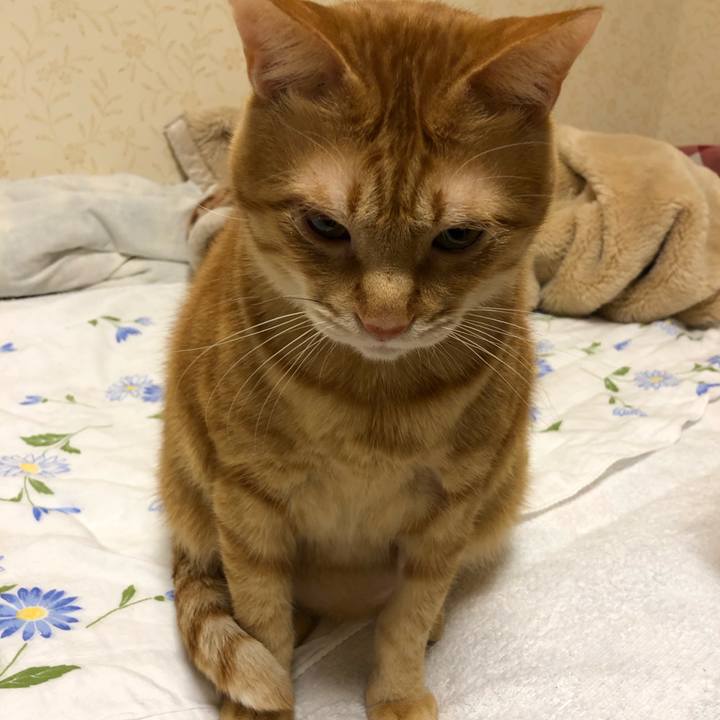 78a54d47 3f97 4e72 854b 516081388f24 1575470260088