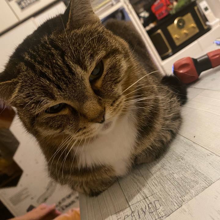 78a5784e 9bf6 49ed a6e5 c01abf873127 1645032115875