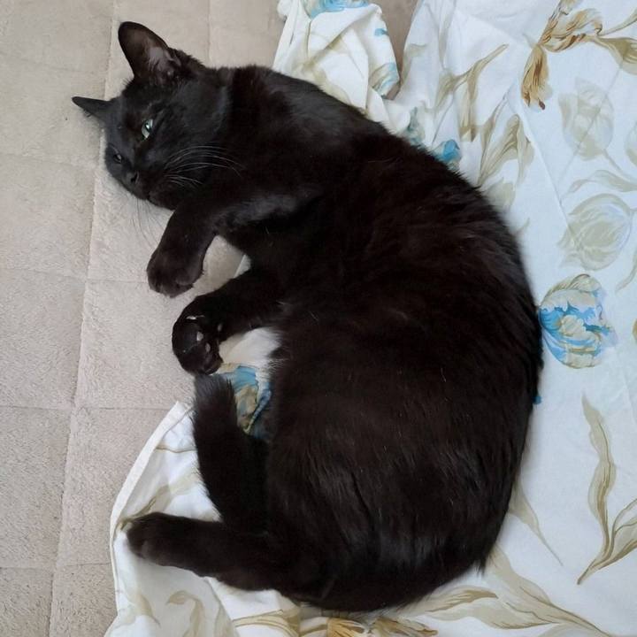 78a58832 8f37 431b 88d0 889cb7b9a56d 1745056350150