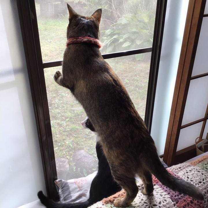 78a58aea 4ecf 47c7 9e5b 0e1673344809 1634168938480