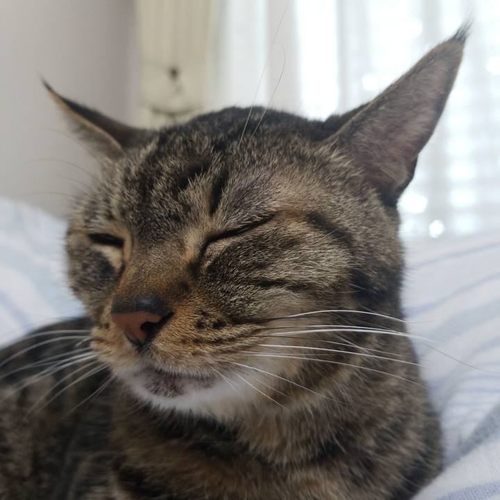 78a5a424 1824 4a4c afa7 c03dc1267e5f 1586208157688