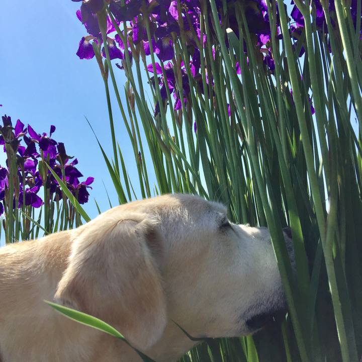 78a5f1f4 d768 4d34 a257 8b99d367e850 1589412091116