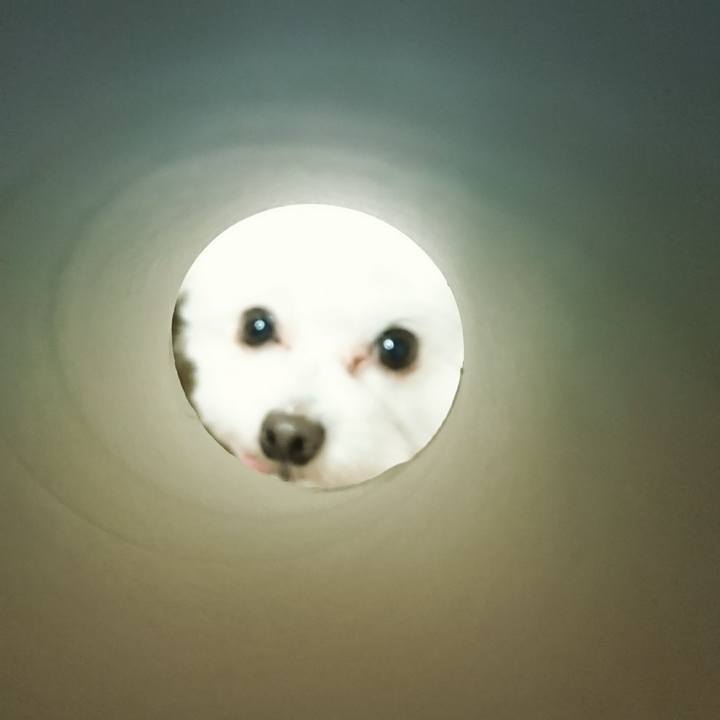 78a5ffe5 7eee 47ba afde b3618c4e27fe 1514977752603