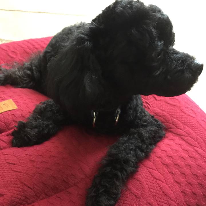 78a625d0 8a74 4df4 aa71 1aeda6394c71 1518401600040