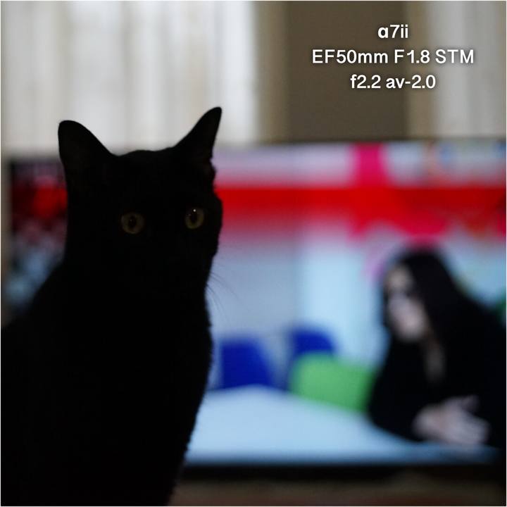 78a63500 8ba3 415a a7bd 134c5adc98ee 1529570229814