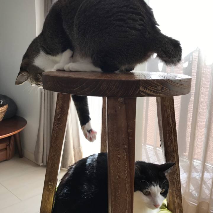 78a65093 be29 448d 81fb 32d9bd5b0c59 1508288785855