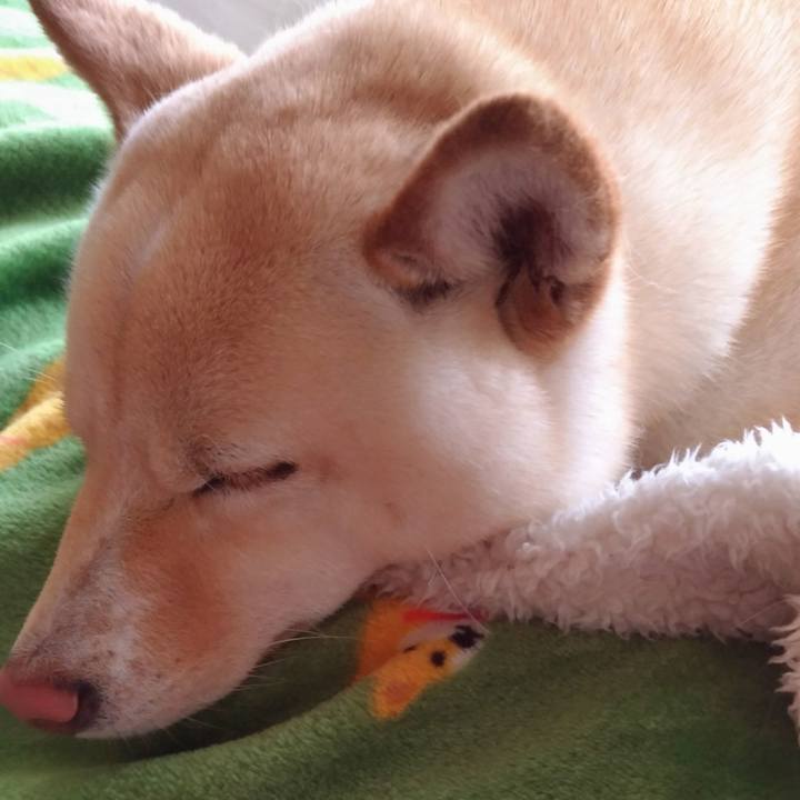 78a65f35 98ea 42d1 8b6c 4777073f1b3d 1522472008755