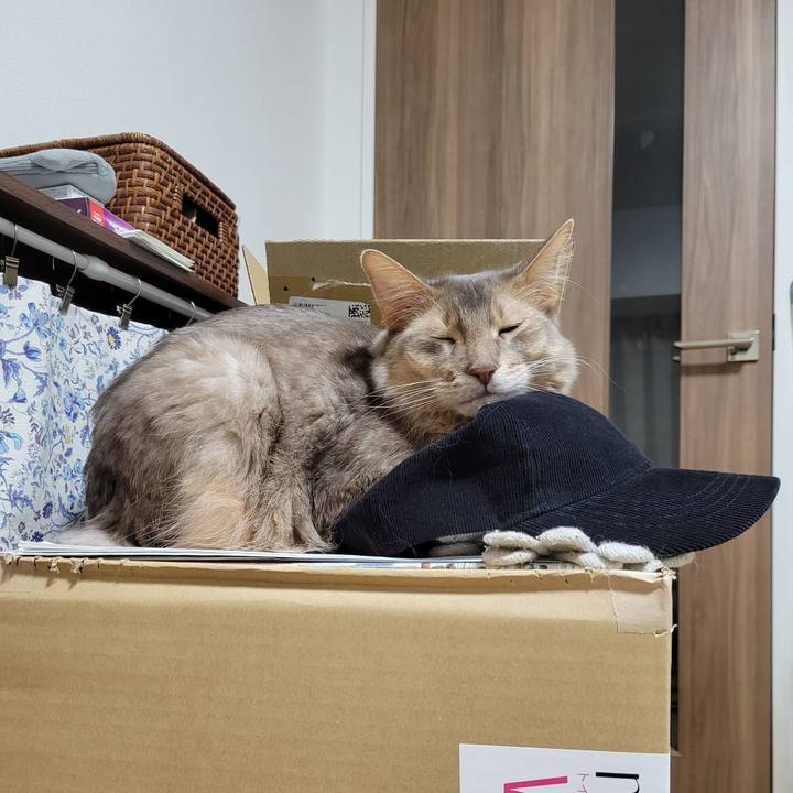 78a6da6b 72bd 4126 b9d0 2bbbd2d46165 1641379996274