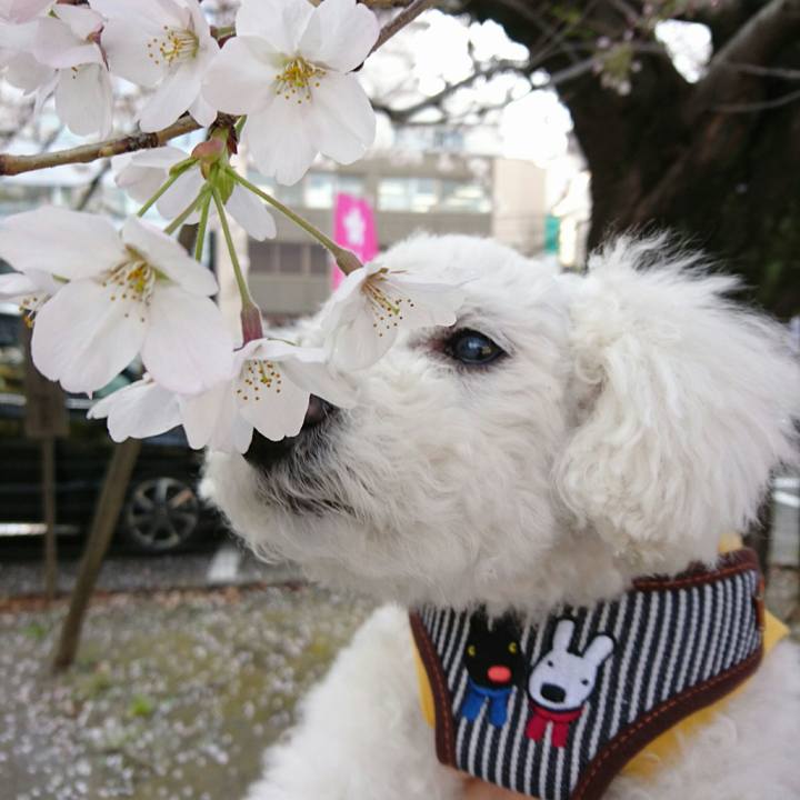 78a6deab 7be7 4518 ac1a fef5f0f27464 1554016988817