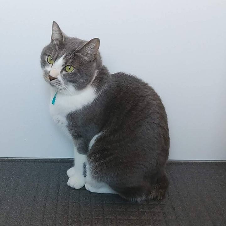 78a6ef48 c3f2 4ae3 bcac 3c5fe0d0fe0c 1644112386048