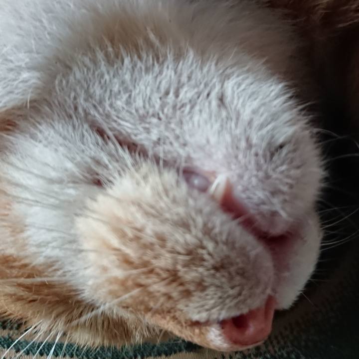 78a70e6e 7724 4d13 88b4 2121ab0f2f6d 1567556819745