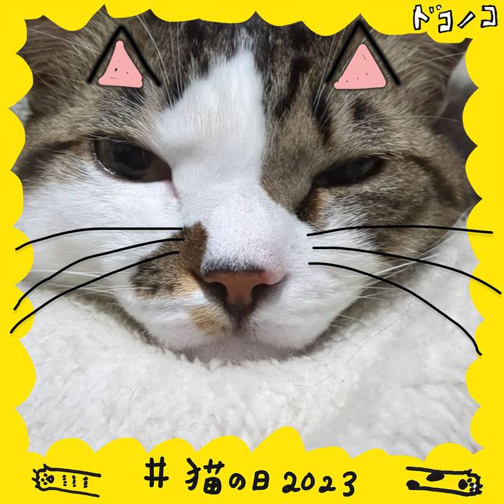 78a71b95 9b2a 4d93 8616 76b9b8df2c4e 1677063730652