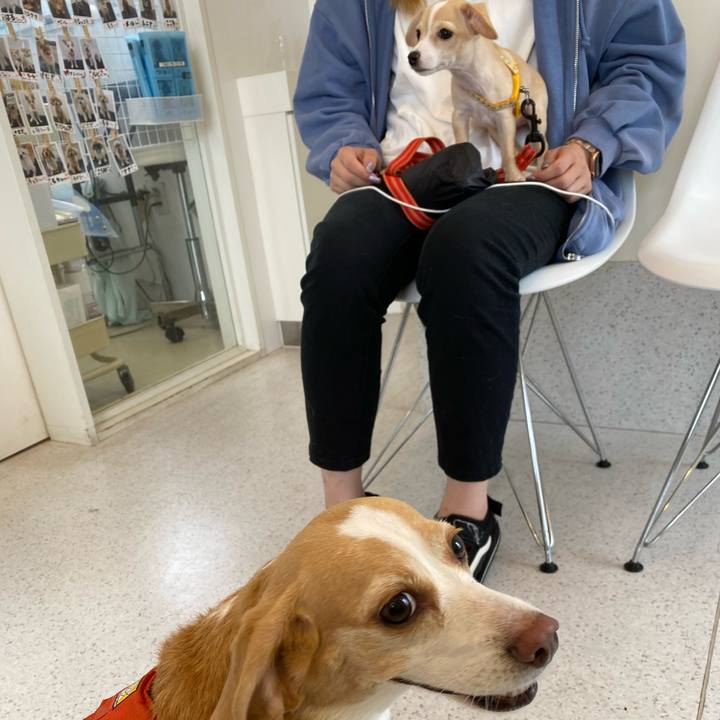 78a71f9b 0c8f 4c84 bd10 d822571ebbbf 1662694718034