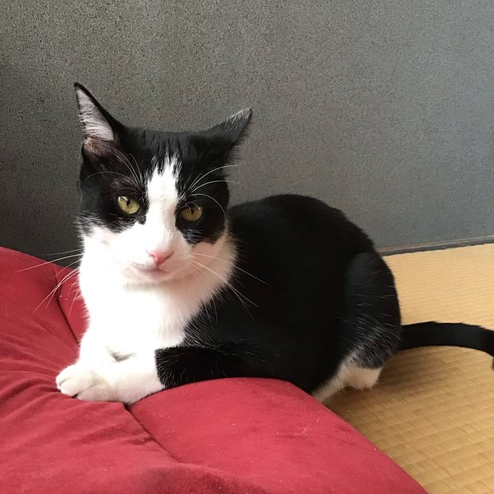 78a7287b ee26 4aa9 b79b 2cbdba69a2eb 1690196315467