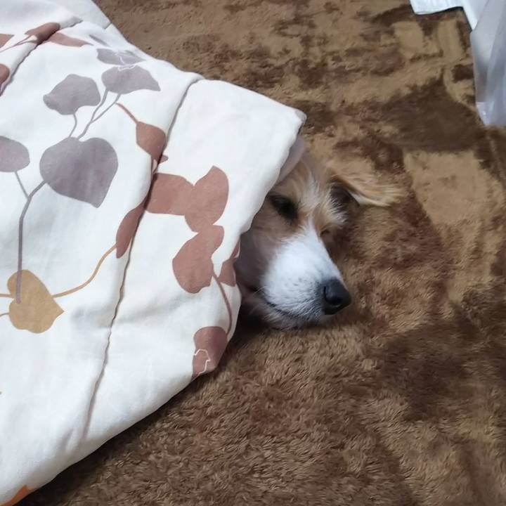 78a72df7 4e73 45d3 a20d 54ff61f987f3 1549425523395